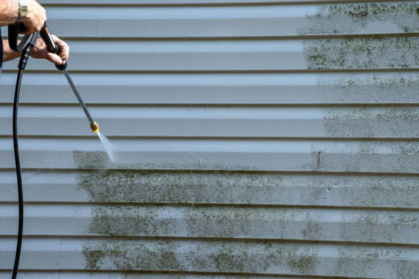 Demolition Debris Removal in Mackinaw, IL