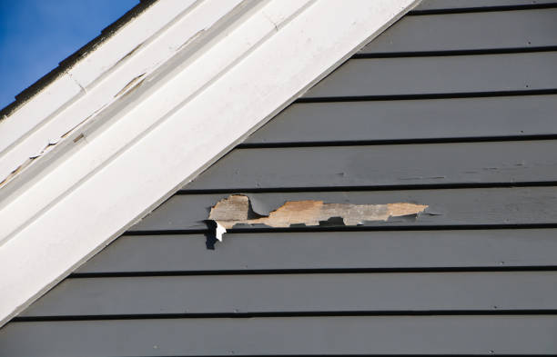 Same-Day Junk Removal Services in Mackinaw, IL